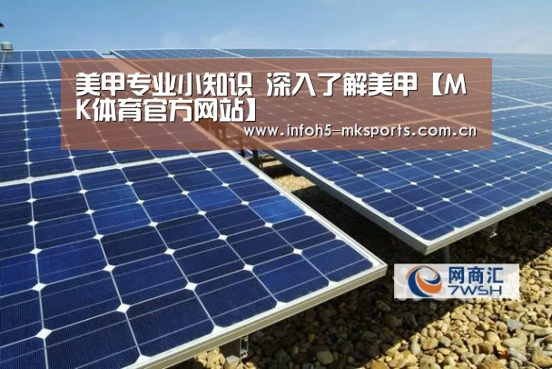 美甲专业小知识 深入了解美甲【MK体育官方网站】(图2) MK体育app