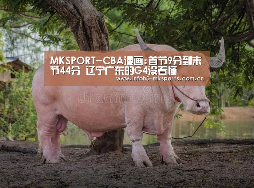 MK体育官方网站