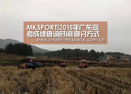 MK体育下载