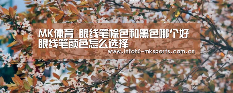 MK体育_眼线笔棕色和黑色哪个好 眼线笔颜色怎么选择(图2) MK体育_眼线笔棕色和黑色哪个好 眼线笔颜色怎么选择(图2)